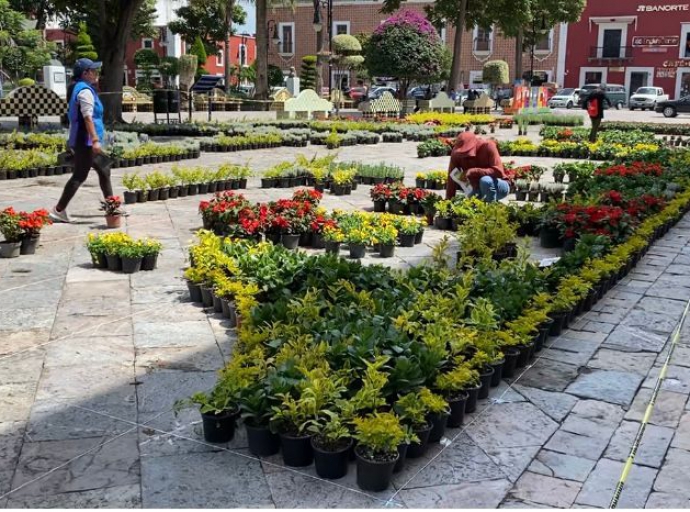 Comienza la instalación del Tapete Monumental en Atlixco